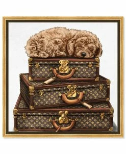 Oliver Gal Sleeping Poodle Fashion And Glam Framed Wall Art