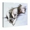 Oliver Gal Sleeping Pitbull Canvas Art Collection