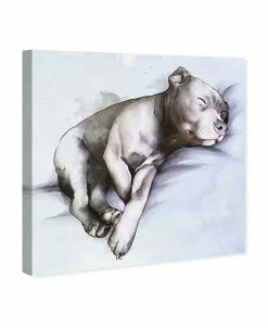 Oliver Gal Sleeping Pitbull Canvas Art Collection