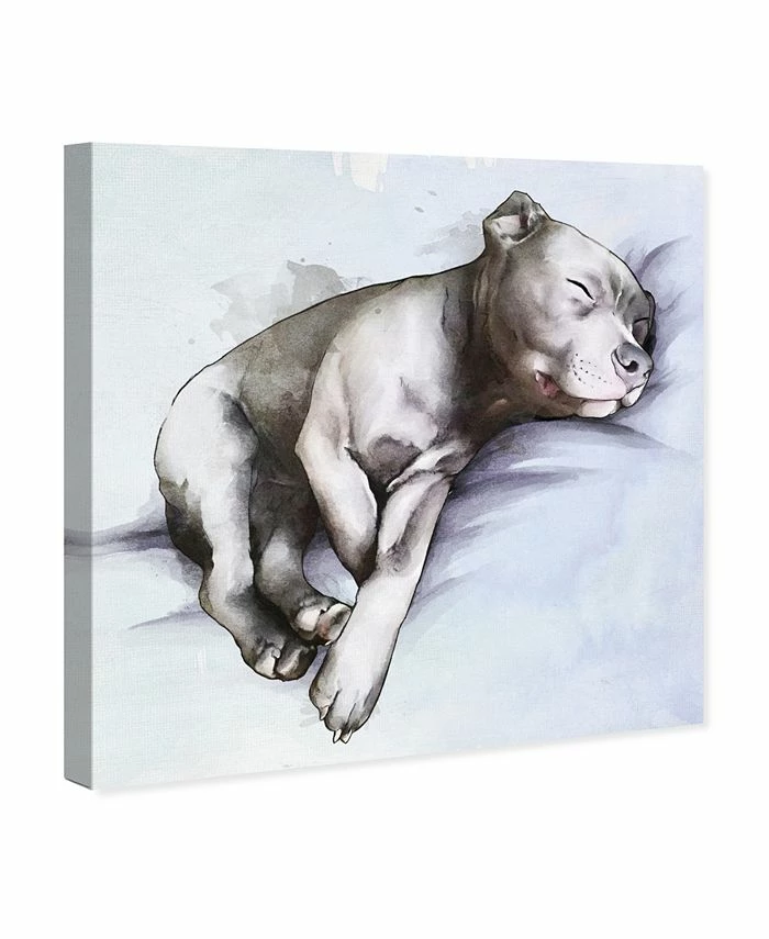 Oliver Gal Sleeping Pitbull Canvas Art Collection