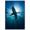 Oliver Gal Cean Jaws Giclee Art Print On Gallery Wrap Canvas