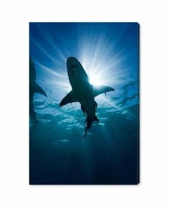 Oliver Gal Cean Jaws Giclee Art Print On Gallery Wrap Canvas