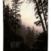 Deny Designs Leah Flores Forest Universe Tapestry