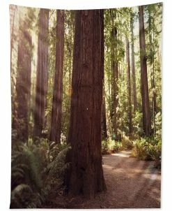 Deny Designs Bree Madden Redwoods Tapestry