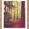 Deny Designs Olivia St Claire She Experienced Heaven On Earth Among The Trees Bamboo Framed Wall Art