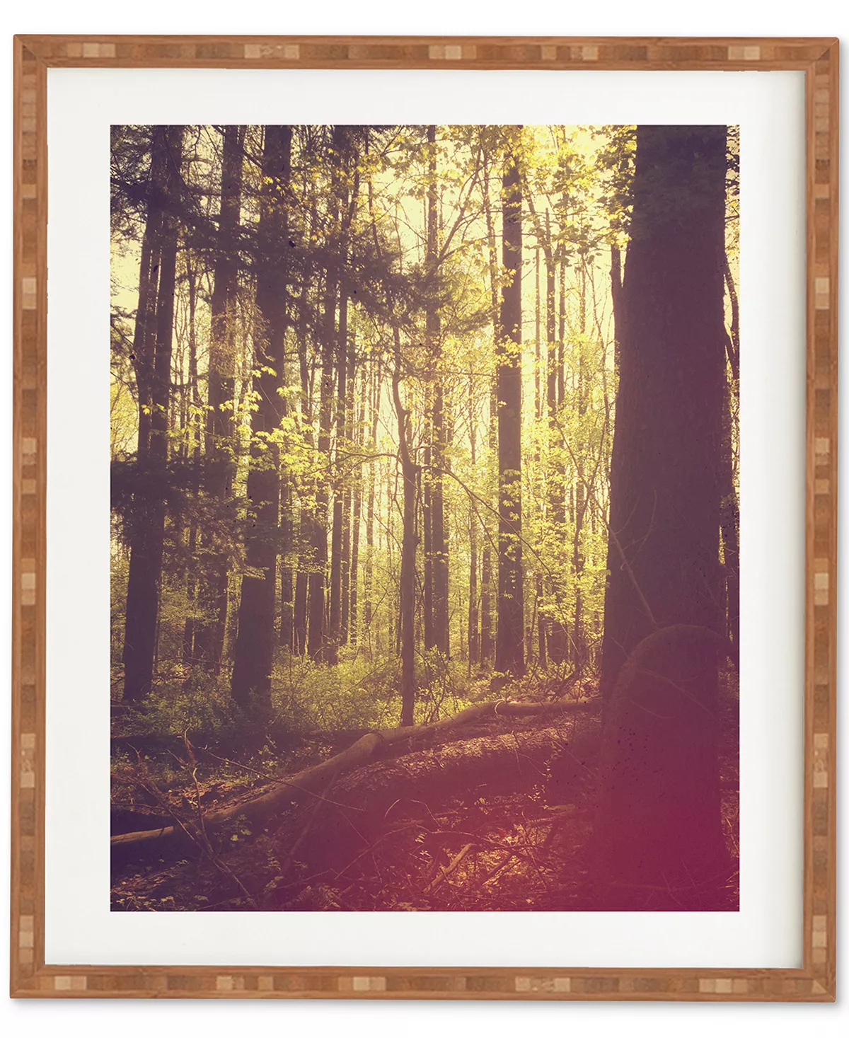 Deny Designs Olivia St Claire She Experienced Heaven On Earth Among The Trees Bamboo Framed Wall Art