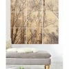 Deny Designs Olivia St. Claire Winter Birch Tree 9-Pc. Printed Wood Wall Mural