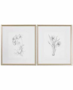 Uttermost Botanical Sketches 2-Pc. Framed Print Wall Art Set
