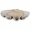 Uttermost Clam Shell Bowl