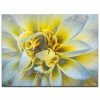 Ready2HangArt 'Painted Petals XXXVII' Canvas Wall Decor